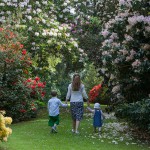 Scottish Rhododendron Festival Guided Walk
