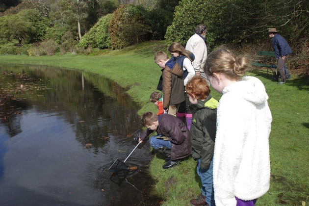 POND DIPPING – Castle Kennedy Gardens