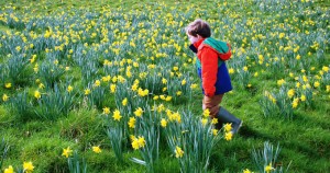 Spring Bulbs Guided Walk