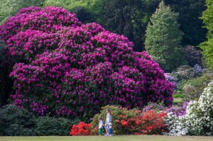 Summer guided walk