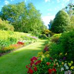 Wonders Of The Walled Garden Guided Walk