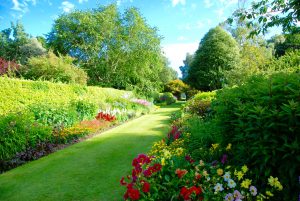 Wonders Of The Walled Garden Guided Walk